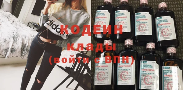 ГАЛЛЮЦИНОГЕННЫЕ ГРИБЫ Горняк