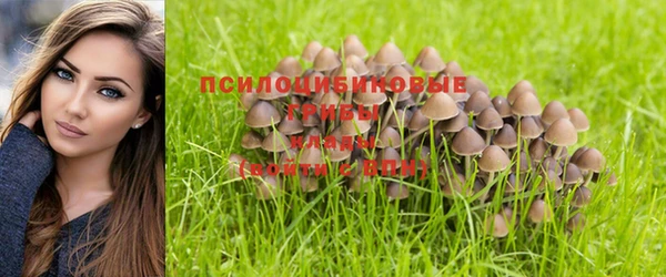 прущие крисы Горнозаводск