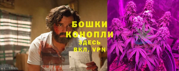 ALPHA-PVP Вяземский